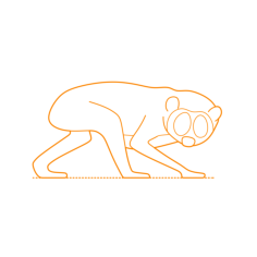 Animals Lemuriforms Red Slender Loris Vinyl Cutting Svg File, Free Vectors File